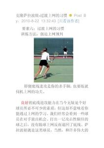 克隆薩拉波娃-過渡上網的習慣