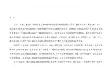 獅城百麗項(xiàng)目企劃