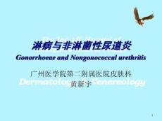 淋病与非淋菌性尿道炎ppt课件