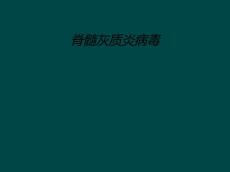 脊髓灰质炎病毒