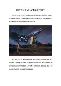 路透社公布2011年度最佳圖片續(xù)