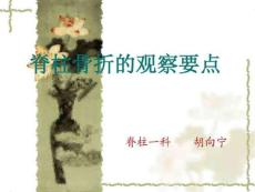 《脊柱骨折观察要点》