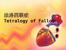 法洛氏四联症(TOF)