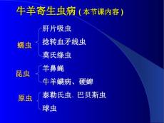 牛羊病寄生虫病1