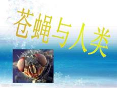 陳岱榕-蒼蠅與人類