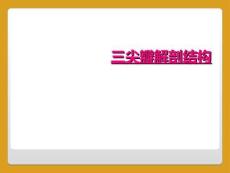 三尖瓣解剖结构