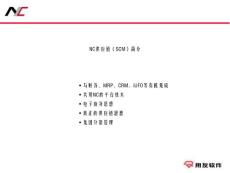 NC高绩效供应链 链介绍