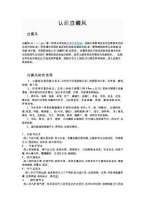 认识白癜风