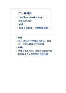 动脉粥样硬化