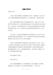 非典小学作文