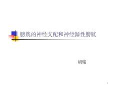 膀胱的神经支配和神经原性膀胱_ok