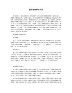 偏身咏春拳的简介