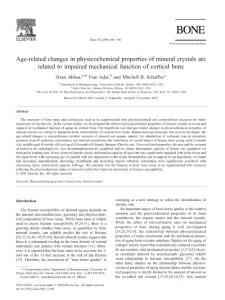 骨的超微結構研究