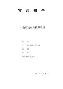 非金屬實驗報告