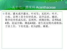 五十七爵床科acanthaceae