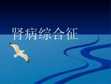 肾病综合征-_膜性肾病ppt课件
