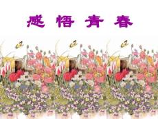 感 悟 青 春