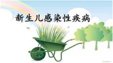 新生儿感染性疾病