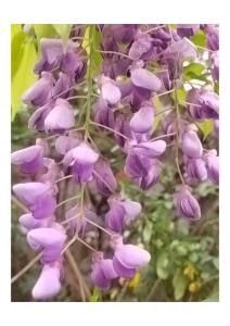 QQ圖片20220322152329