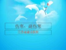 伤寒、副伤寒ppt课件