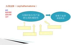新生儿产伤性疾病(共19张PPT)