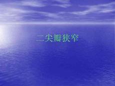 二 二尖瓣狭窄ppt课件