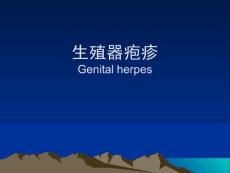 生殖器疱疹ppt课件