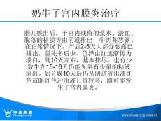 奶牛子宫内膜炎治疗ppt课件