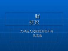 脑梗塞PPT