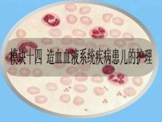 营养性贫血、造血特点、小儿贫血概述、