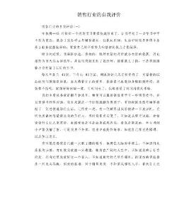 銷售行業的自我評價