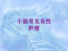 小肠肿瘤ppt课件