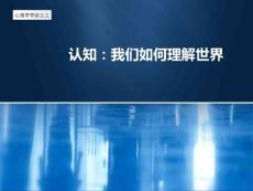 第三章 认知—我们如何理解世界