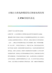火炮打击致兔肺爆震伤后肺脏病理改变及P38的组织表达