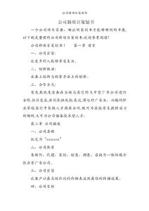 公司新项目策划书