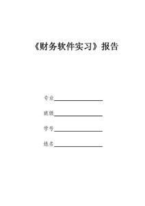 《财务软件实习》报告格式