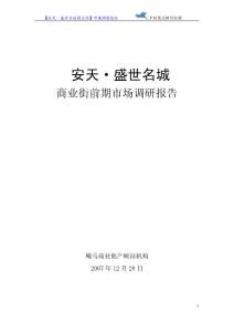 2007年安徽安天盛世名城商業(yè)街前期市場調(diào)研報告