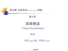 -尿路感染课件