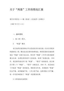 鄉(xiāng)鎮(zhèn)兩基迎檢匯報材料 3