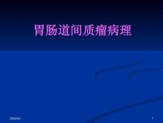 胃肠道间质瘤解读