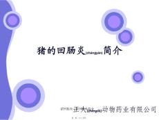 猪回肠炎---猪回肠炎简介课件