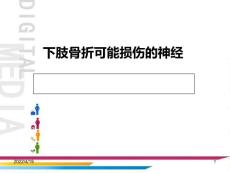 下肢骨折可能损伤的神经