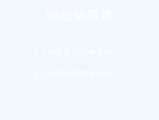 眼底病图谱（69页）