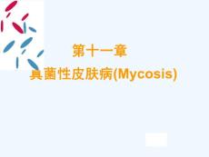 真菌性皮肤病