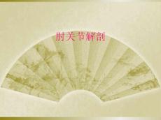 肘关节解剖