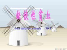 iron deficient anemia  （IDA）