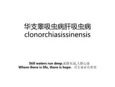华支睾吸虫病肝吸虫病clonorchiasissinensis