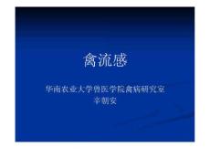 禽流感课件