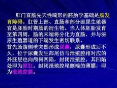 肛门直肠先天性畸形