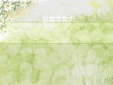 股骨颈骨折59808